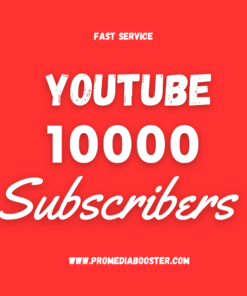 Buy YouTube Subscribers 10000 Subscribers 10K Subs on Youtube