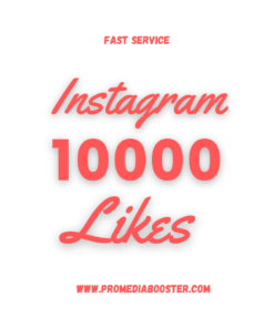 Buy Instagram 10K Likes Instagram 10000 Instagram Likes Fast Delivery